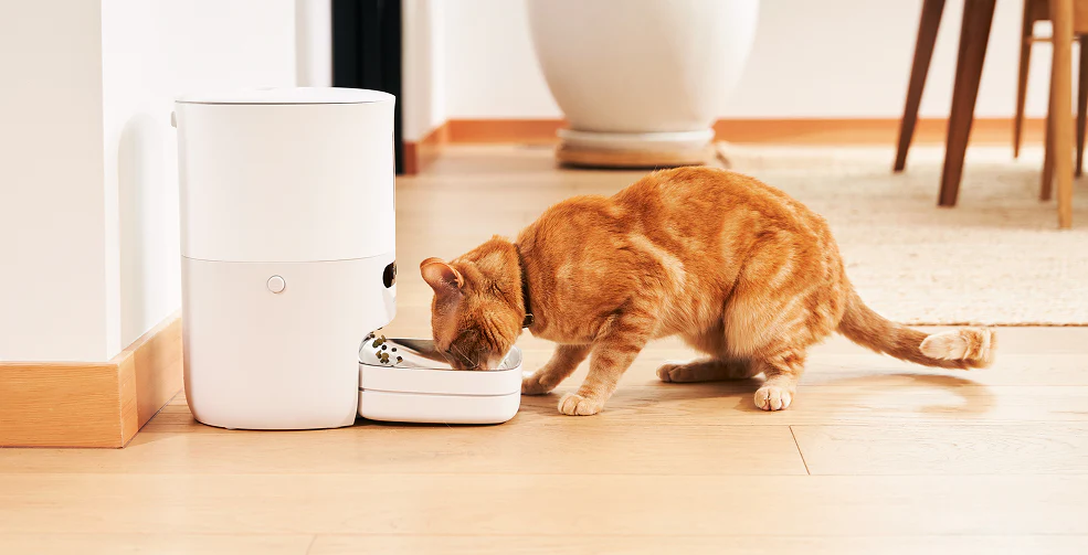 Smart Pet Feeder with accessories